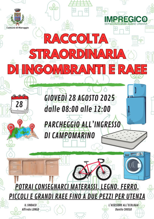 RACCOLTA STRAORDINARIA DI INGOMBRANTI